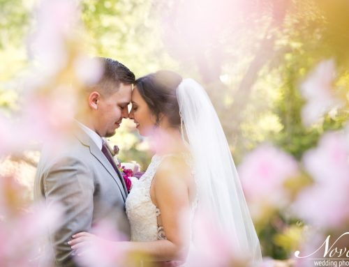 The L Wedding | Samantha + Daniel